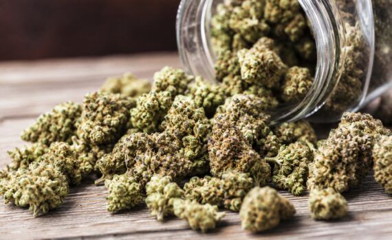 Najmocniejszy kannabinoid
