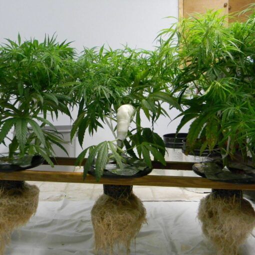 System odwroconej osmozy