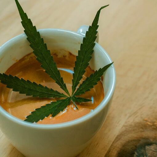 Terpen zdrowe korzysci