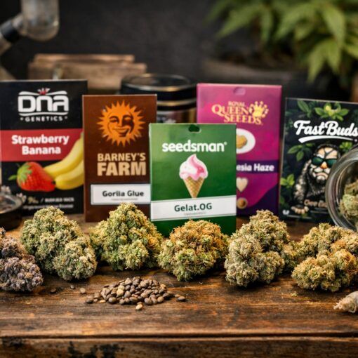 Topowe odmiany marihuany